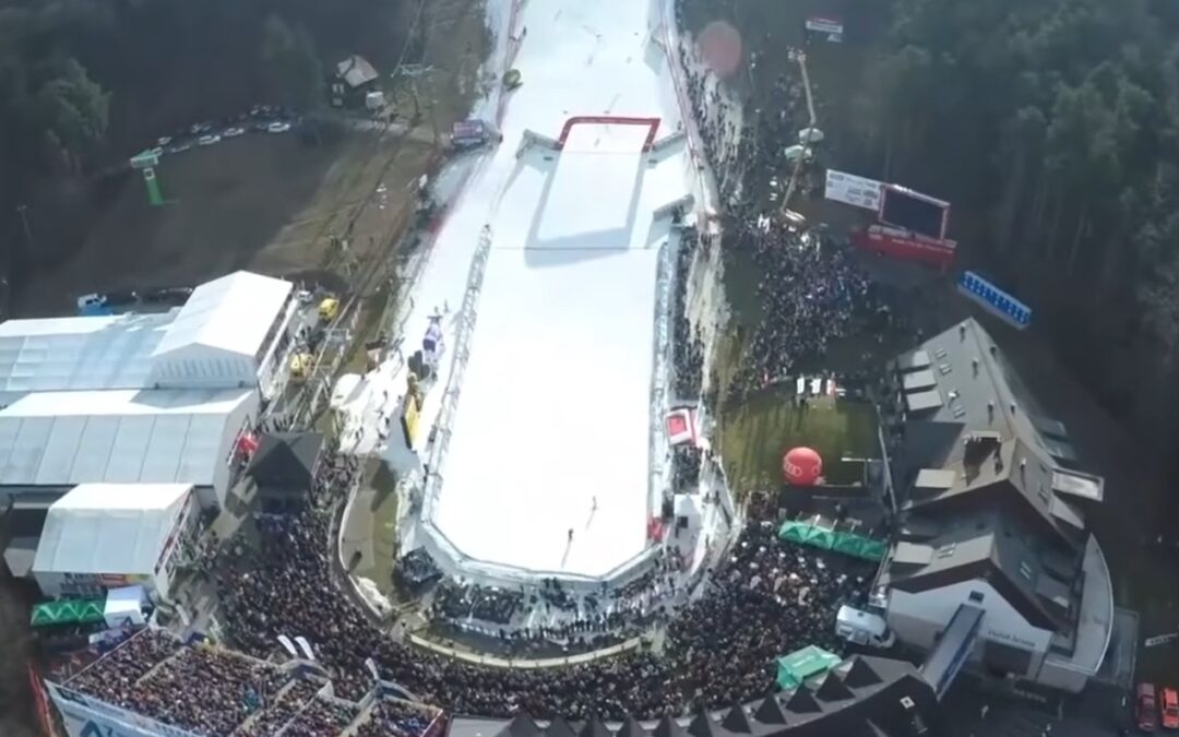 Lisica brez domačega brloga