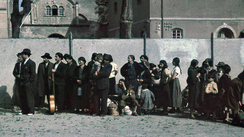 Anticiganizem ali pripoved o pasjem življenju