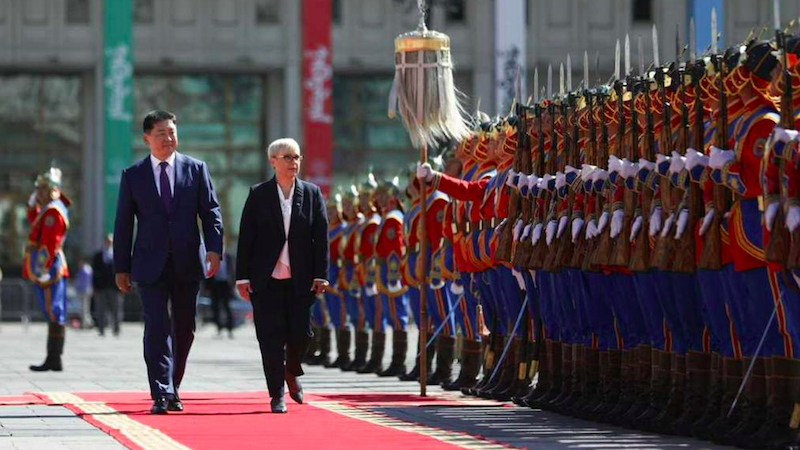 Ko predsednica prodaja “opolnomočenje žensk v gozdarstvu” državi z dvema odstotkoma gozdne površine