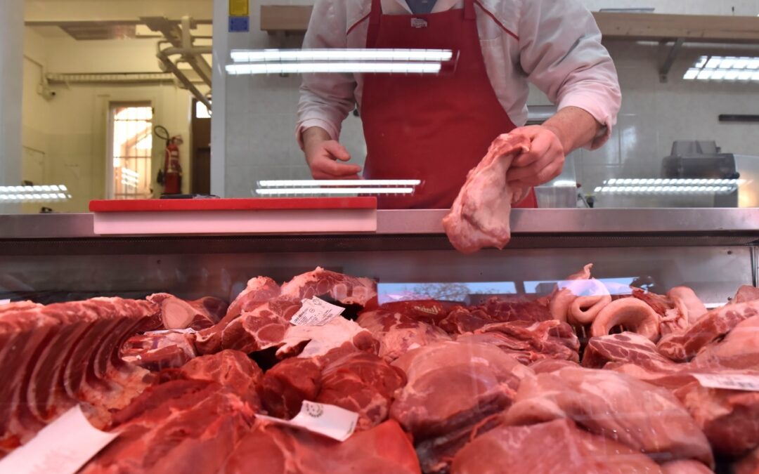 “Pri kolinah upoštevajte predpise in dobrobiti živali”
