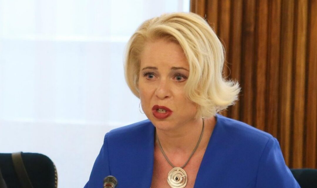 “V stranki bomo morali narediti temeljito samorefleksijo”