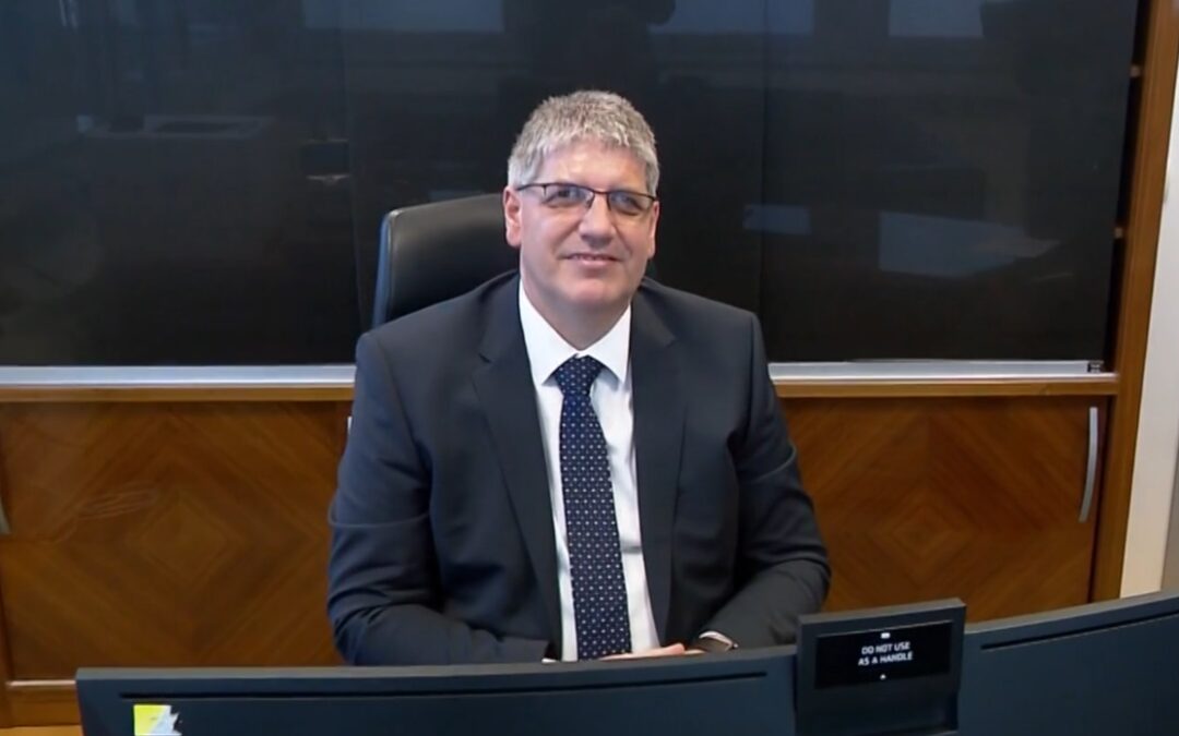 Medijska sanacija vladnih nezakonitosti, nesposobnosti z davki na pse in drugo nepremičnino