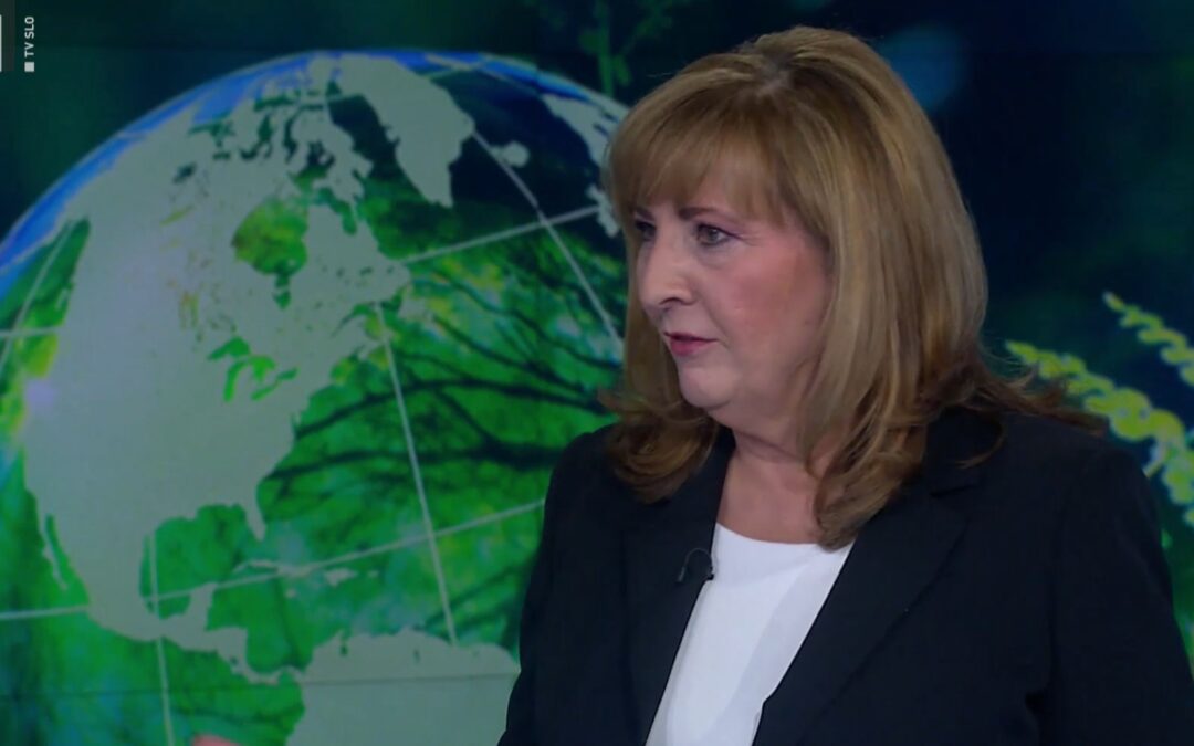 “Vrtaj bejbi, vrtaj”