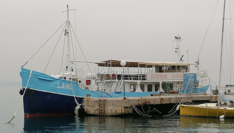 Domovina, ti si kakor mačeha …